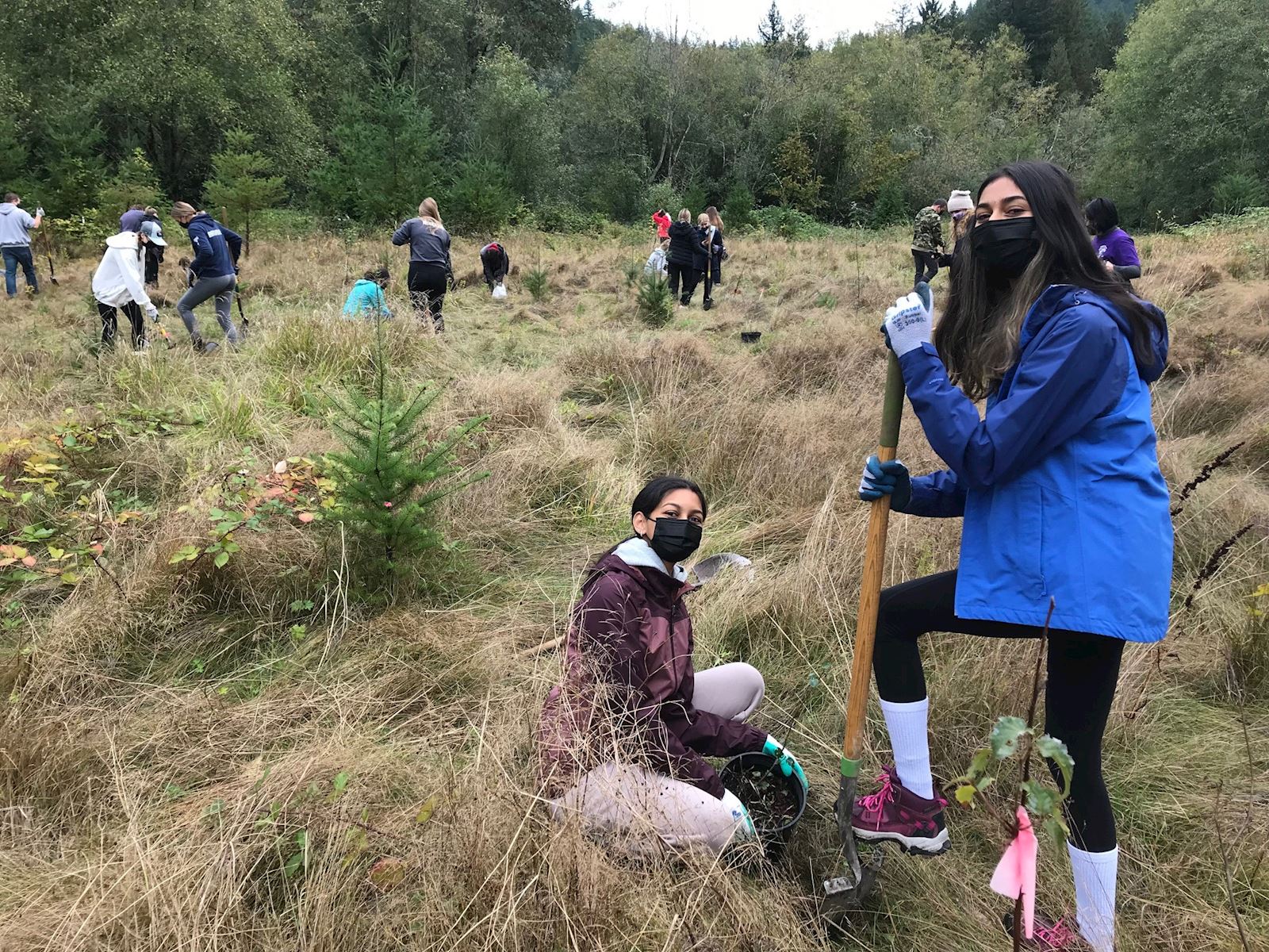 high school students plant trees