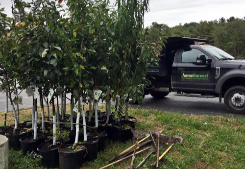 fruit trees and flat bed truck along with gardening tools