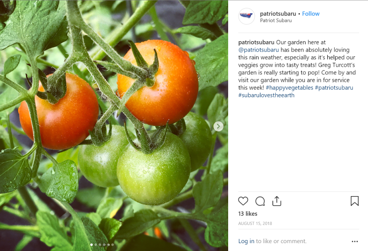 Patriot Subaru garden social media post
