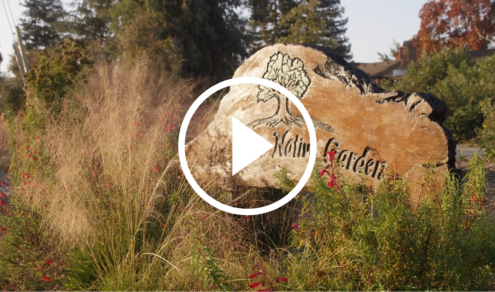 rock in community garden