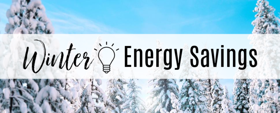 Winter Energy Savings with background of trees covered in snow