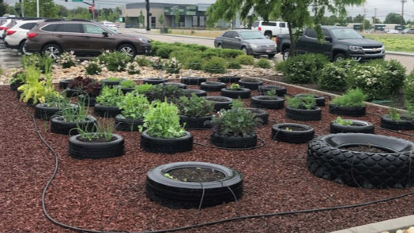 Larry H Miller Subaru garden