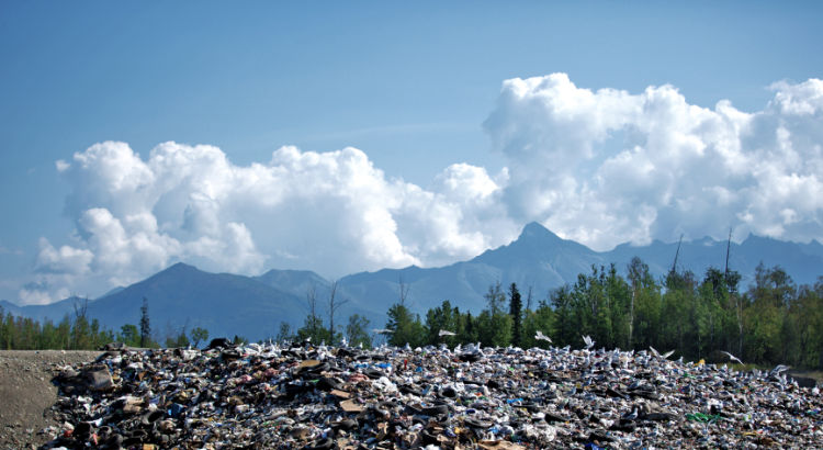 trash piled in front of scenic national park view