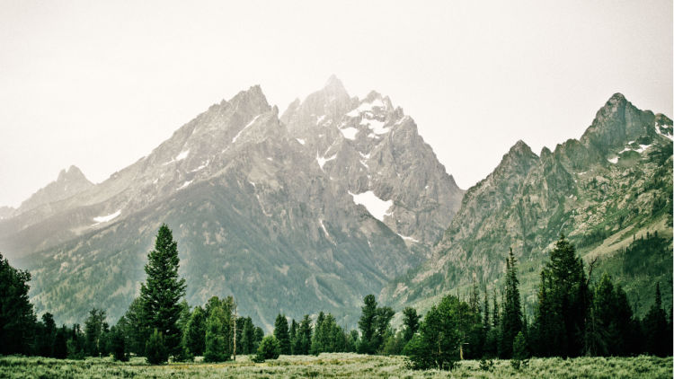 scenic photo with evergreens in foreground and mountains in background
