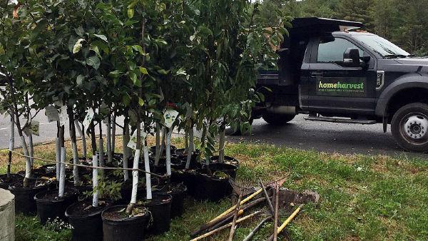 Planet Subaru food forest fruit trees