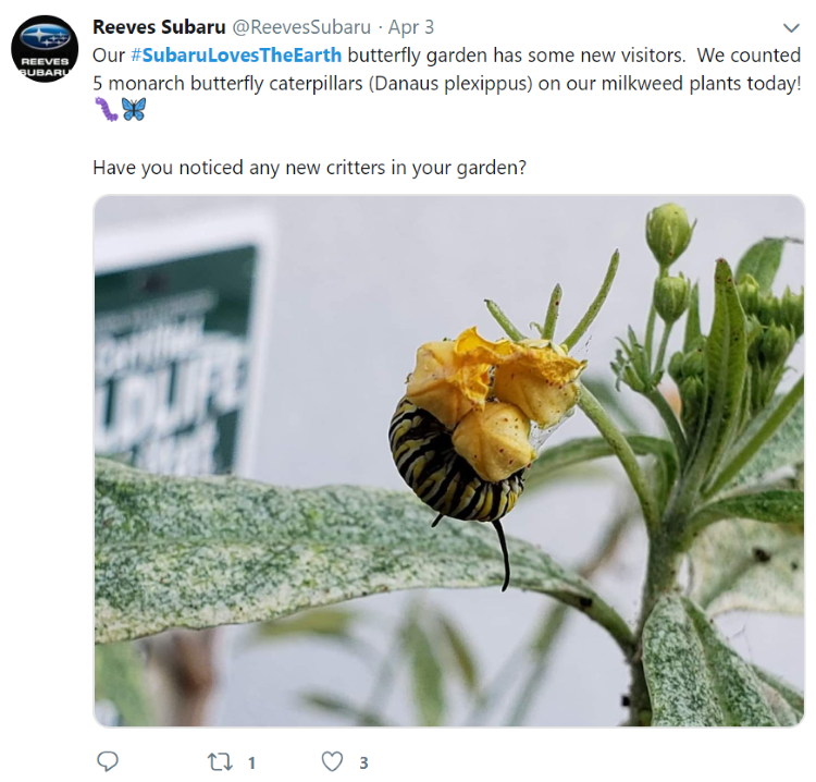 Reeves Subaru butterfly garden social media post