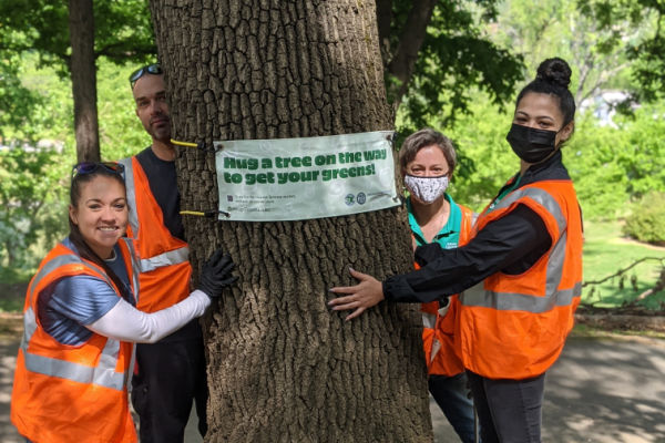 Subaru employees standing by tree