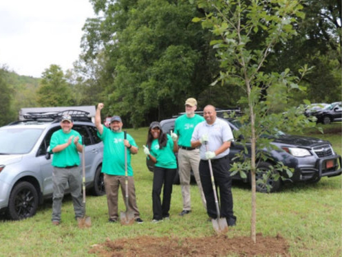 Subaru employees plant trees at nature preserve